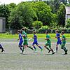 Bild :