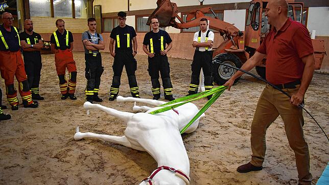 Tierarzt Miroslav Feben (rechts) demonstriert das korrekte Vorgehen beim Abtransport eines liegenden Pferdes.