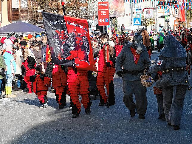 Bild 11: Großer Jubiläumsumzug der Narren in Niedereschach – Teil 1