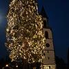 Der Mammutbaum in Eichsel wird am Sonntag erleuchtet.