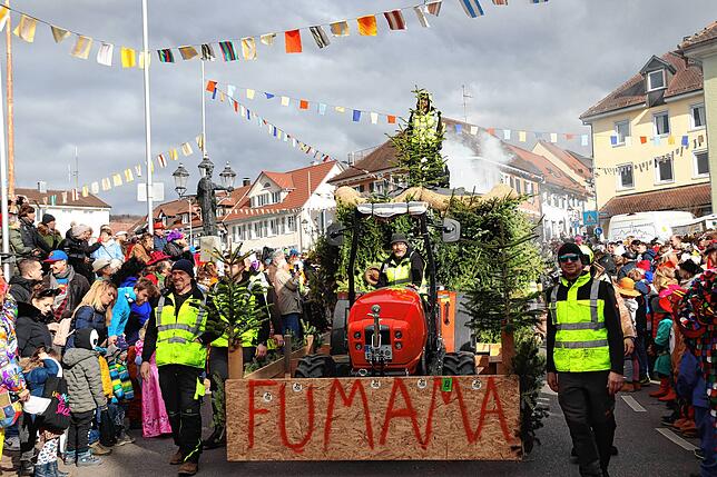 Bild 10: Bilder vom Fasnetssunntig-Umzug in Markdorf (Teil 1)