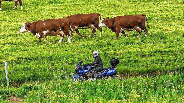 Ok, wenn sich der Lärm in Grenzen hält: &bdquo;Genussfahrer&ldquo; sind auch in der Ferienregion Schwarzwald willkommen.