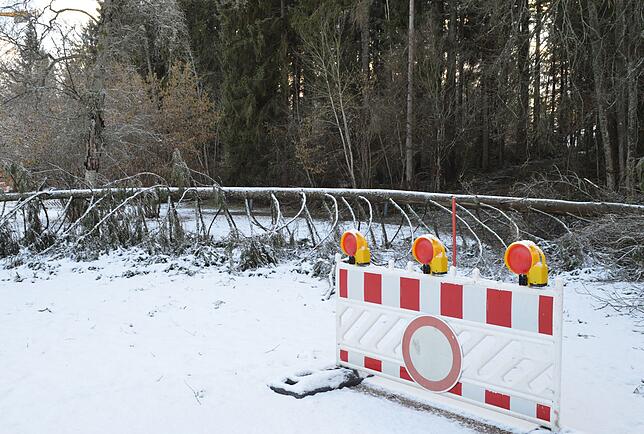 Die Hinterlassenschaften von &bdquo;Sabine&ldquo; sind im Kurpark deutlich zu sehen.