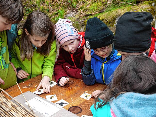 Die Junior Ranger versuchen, die Insekten auf den Kärtchen zu erraten.