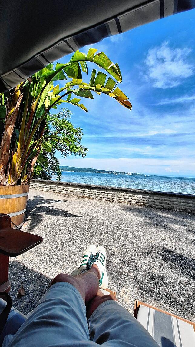 Eine Palme, der See und Meersburg in der Ferne. Auf den Strandkörben direkt am Wasser lässt es sich aushalten und einige Minuten vom ...