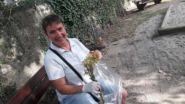 Michaela Berthold-Sieber, die Vorsitzende des Obst- und Gartenbauverbands Hochrhein, warnt vor dem giftigen Jakobskreuzkraut. Sie fasst ...