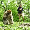 Master-Studentin Zoe Schultz aus England beobachtet die Berberaffen auf dem Affenberg Salem beim Fressen. So möchte sie herausfinden, ob ...