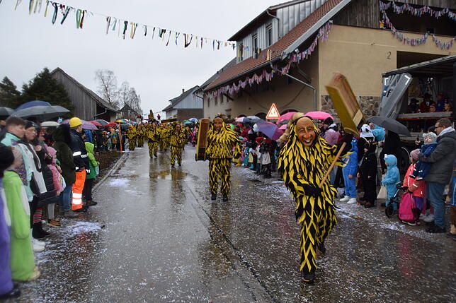 Bild 31: Bildergalerie: Das Schlüchttalnarrentreffen in Nöggenschwiel im besten Licht