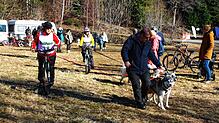 Ein Gespann mit Husky und Montainbike geht im Januar 2024 in Todtmoos-Schwarzenbach auf die Piste. Ein Jahr später ist die Schneelage ...