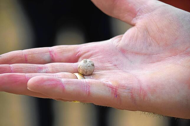 Bei den Ausgrabungen in Wahlwies wurde bei der Suche mit einem Metalldetektor diese Pistolenkugel aus Blei in einem Graben aus früheren ...