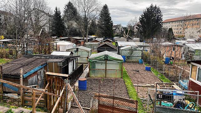 Frühling in der Knöpfleswies: Die Schrebergartenkolonie soll in den nächsten Jahren ein neues Gesicht bekommen. Geplant ist eine ...