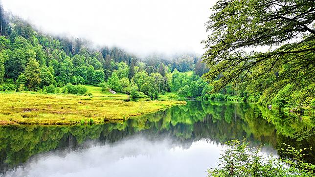 Der Nonnenmattweiher &ndash; traditionell Streitobjekt zwischen Tourismus- und Naturschutzinteressen.