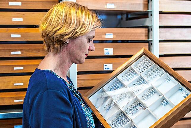 Jede Mückenart erhält einen Platz in der großen Sammlung beim Leibniz-Zentrum für Agrarlandschaftsforschung im brandenburgischen Müncheberg.