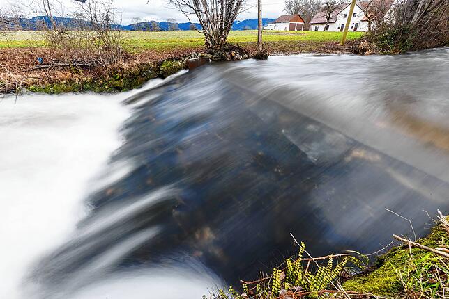 Der Fluss Brugga fliesst nahe dem Kirchzartener Ortsteil Neuhäuser über eine Krebssperre: Sie soll das Wandern des Kamberkrebses und ...