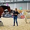 Bild :