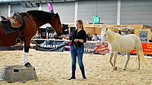 Bild : Action, Pferde und Westernflair: Bilder vom ersten Tag der Americana in Friedrichshafen