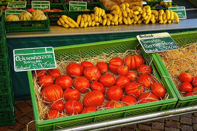 Auch alte Tomatensorten wie „Ochsenherz“ oder „Berner Rose“ werden wieder vermehrt nachgefragt und angebaut.