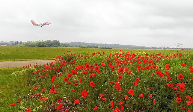 Bild 6: Verlassene Terminals, Corona-Tests und Flugzeuge am Boden: Ein Rückblick auf 2020 am Euro-Airport in Bildern