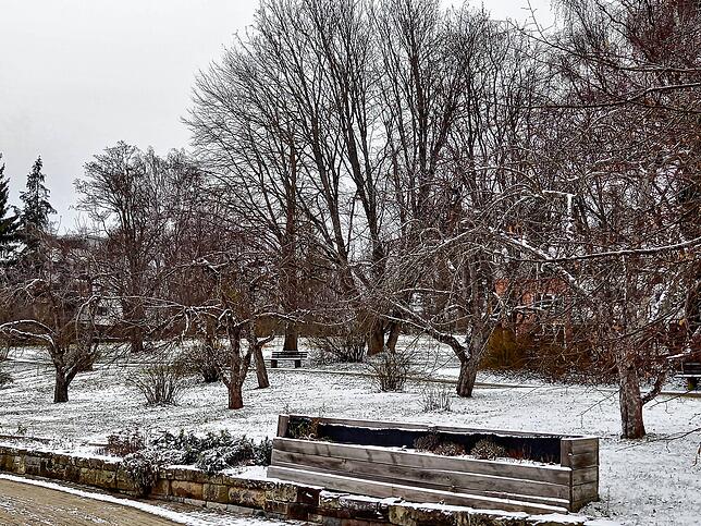 Ein Blick in den Park von St. Lioba.