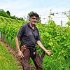 Hubert Gutemann zwischen den Weinreben an der Wanger Halde. Hier wächst neben neben alten Sorten wie Müller-Thurgau und Spätburgunder ...