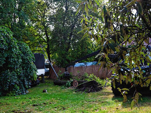 Bild 14: Bodensee: Fotos vom schweren Unwetter und den Schäden!