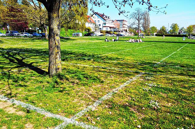 Die Stadt Meersburg setzt – wie bereits im vergangenen Sommer – auf gekennzeichnete Flächen auf der Wiese. Die Rechtecke ...