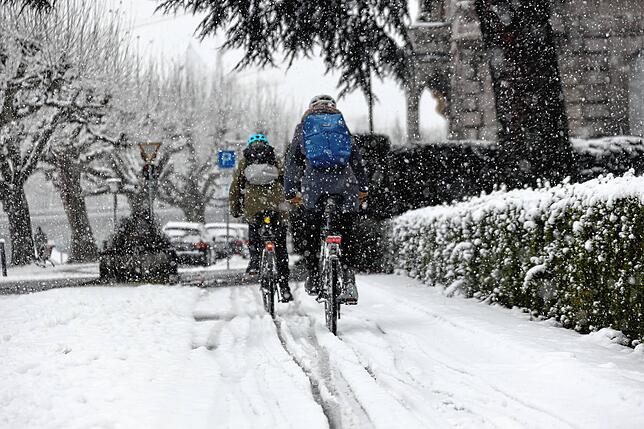 Einige verzichteten da lieber ganz aufs Rad: Winterstillleben mit Fahrrädern, gesehen am Fährehafen in Staad.