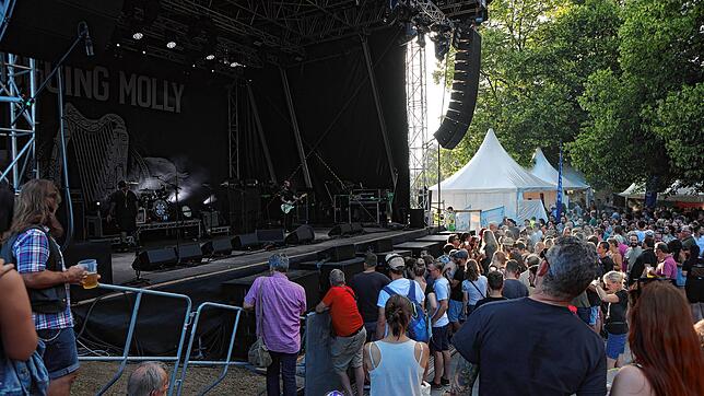 Bild 29: Flogging Molly erobert beim Hohentwielfestival die Herzen der Fans im Sturm (Teil II)