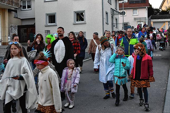 Bild 8: Narren feiern Rosenmontag mit Kindernachmittag und Fackelzug