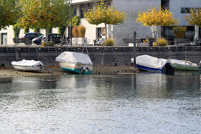 Bild 6: Durch den See auf die Mainau laufen? Theoretisch ist das jetzt möglich. Wir zeigen die Folgen des aktuellen Niedrigwassers in Konstanz