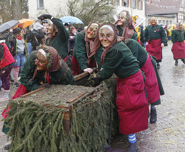 Bild 26: Bilder zum großen Narrentreffen in Pfohren (3)
