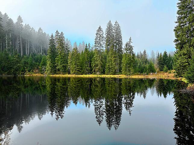 Bild 1: So schön ist der Herbst im Schwarzwald und auf der Baar