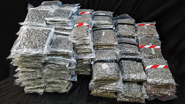 Marihuana im Wert von über einer Million Franken haben Kantonspolizei und Zoll beschlagnahmt.