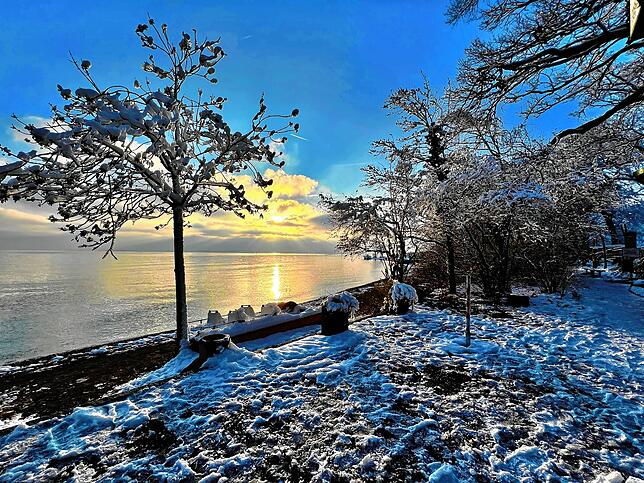Bild 3: Was für ein Wintereinbruch am Bodensee: Die schönsten Schnee-Bilder vom Wochenende