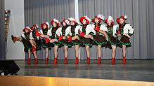 Auch die Garde aus Krauchenwies hatte beim Brauchtumsabend der Denkinger Holzhauderezunft einen Auftritt.