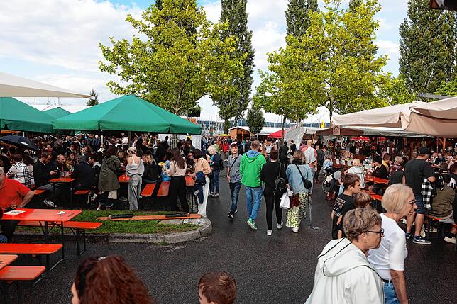 Bild 40: Reichenauer Weinfest 2025 auf der Insel: So beginnt die 44. Ausgabe der Traditionsveranstaltung