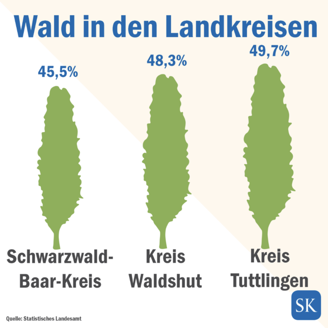 Bild 2: Fakten-Freitag: Wo in der Region gibt es den meisten Wald?