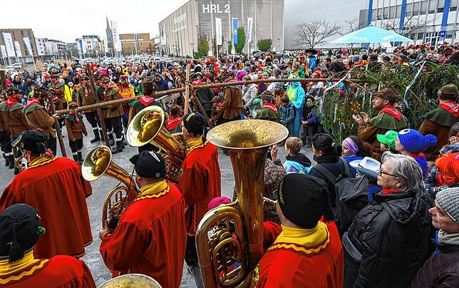 Bild 14: Bilder vom Kindernarrenbaum-Stellen in Radolfzell
