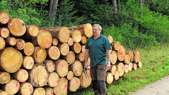 Trockenlager am Waldrand: Bei Wärme und Trockenheit stirbt die Borkenkäferbrut ohne Chemiezusatz ab, wie Forstrevierleiter Siegbert Arzt ...