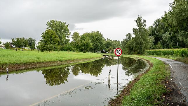 Die Landstraße 220 musste in beide Richtungen gesperrt werden.