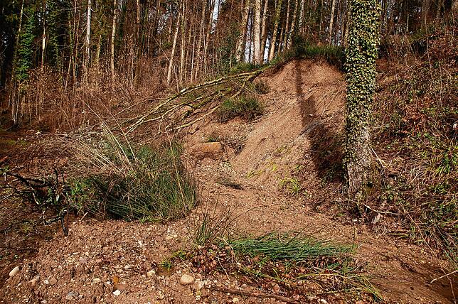 Nach einem Hangrutsch ist auch der Kapitalweg in Riedmatt derzeit gesperrt.