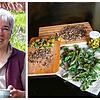 Madelaine Balmer hat als Kräuterfrau großes Wissen über Schätze aus der Natur.