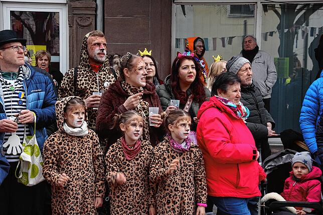 Bild 2: Fasnets-Umzug der Poppelezunft in Singen &ndash; Teil 1