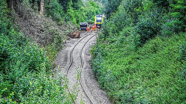 Gut zu erkennen: Ein Knick im Gleis. Den Erdrutsch hatte der Zug bereits zuvor passiert – die Vegetation am Rand zeigt dennoch keine ...