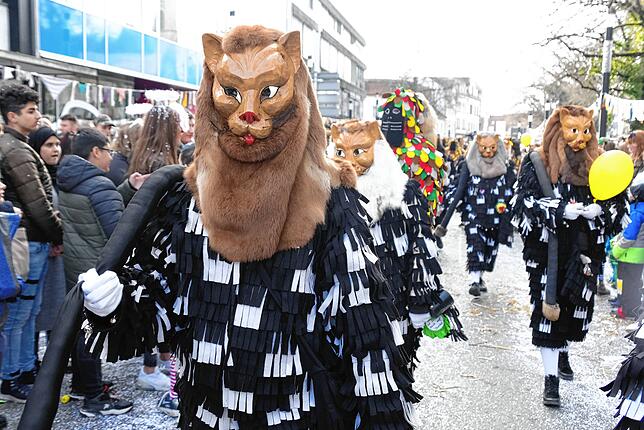 Bild 20: Bilder vom großen Fasnet Samschdig-Umzug der Poppele-Zunft (3)