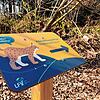 Ein Luchs führt die Besucher über den Klimawandelpfad im Stadtwald. Konzipiert hat die Beschilderung der Geoökologe Markus Dotterweich ...