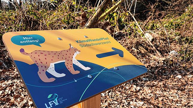 Ein Luchs führt die Besucher über den Klimawandelpfad im Stadtwald. Konzipiert hat die Beschilderung der Geoökologe Markus Dotterweich ...