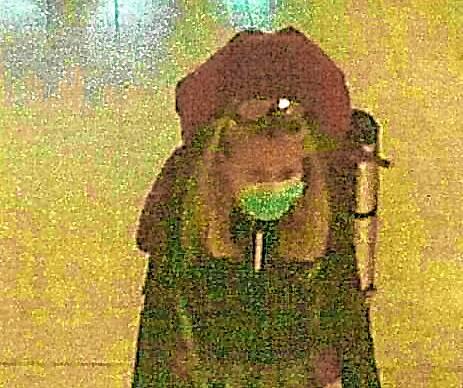 Die letzten Aufnahmen der verschwundenen Wanderin entstanden am 10. September 2020 in einem Supermarkt in Todtmoos. Hier trägt Scarlett ...