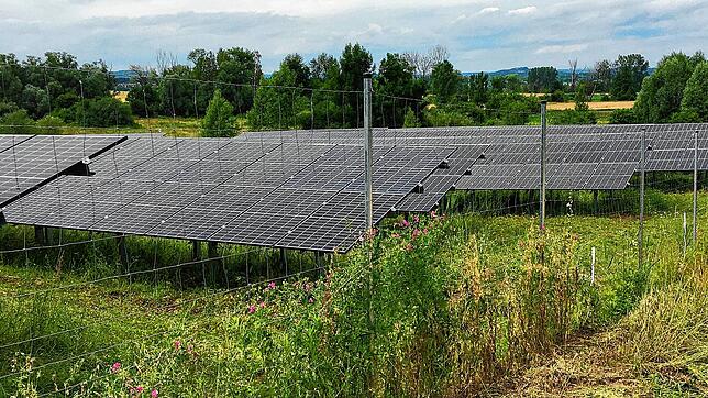 Als Beispiel für eine Mehrfachnutzung eines Geländes führte Micheal Klinger einen Solarpark in Moss an, der auf einer ehemaligen Deponie ...