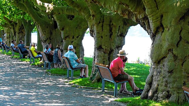 Wer keine Ausflüge machen kann, kann in Radolfzell zumindest in der Mittagspause die Seele baumeln lassen.
